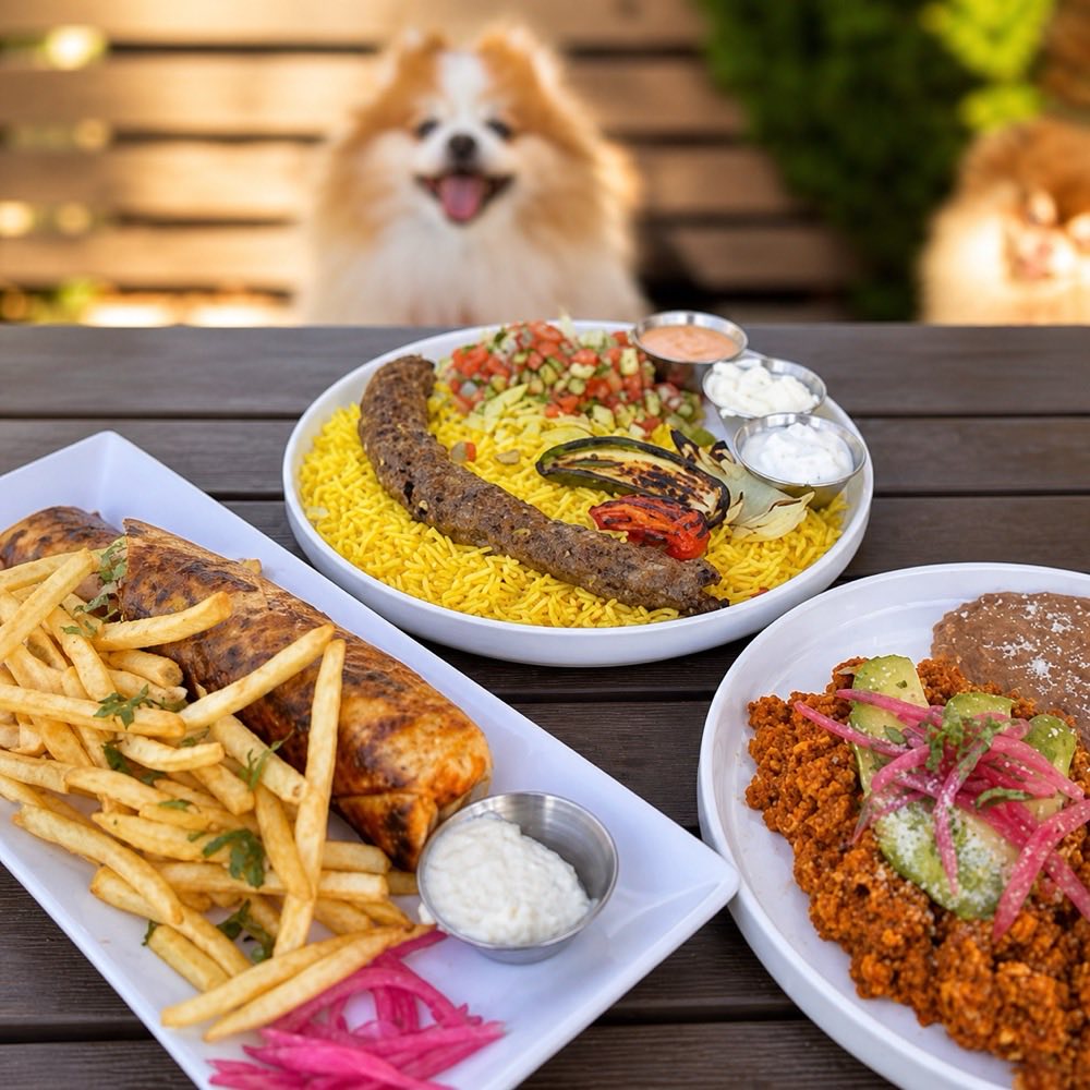A kabob plate over yellow rice, seasoned fries with garlic sauce, and a Mexican dish topped with pickled onions and avocado.